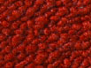 Colore rosso