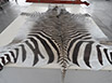 Tappeto in pelle originale zebra con certificato